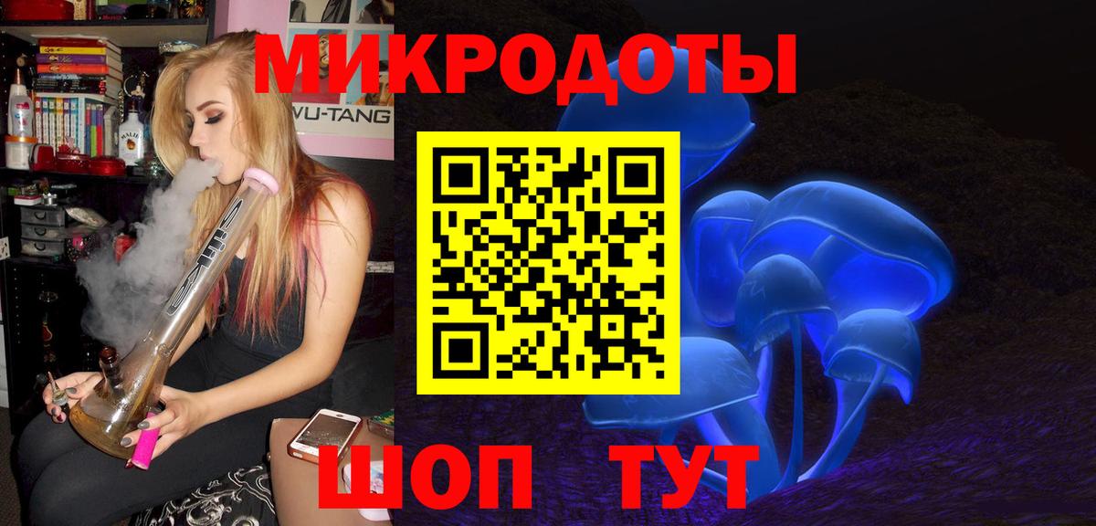 Галлюциногенные грибы Psilocybe  Вход с VPN  Баксан 